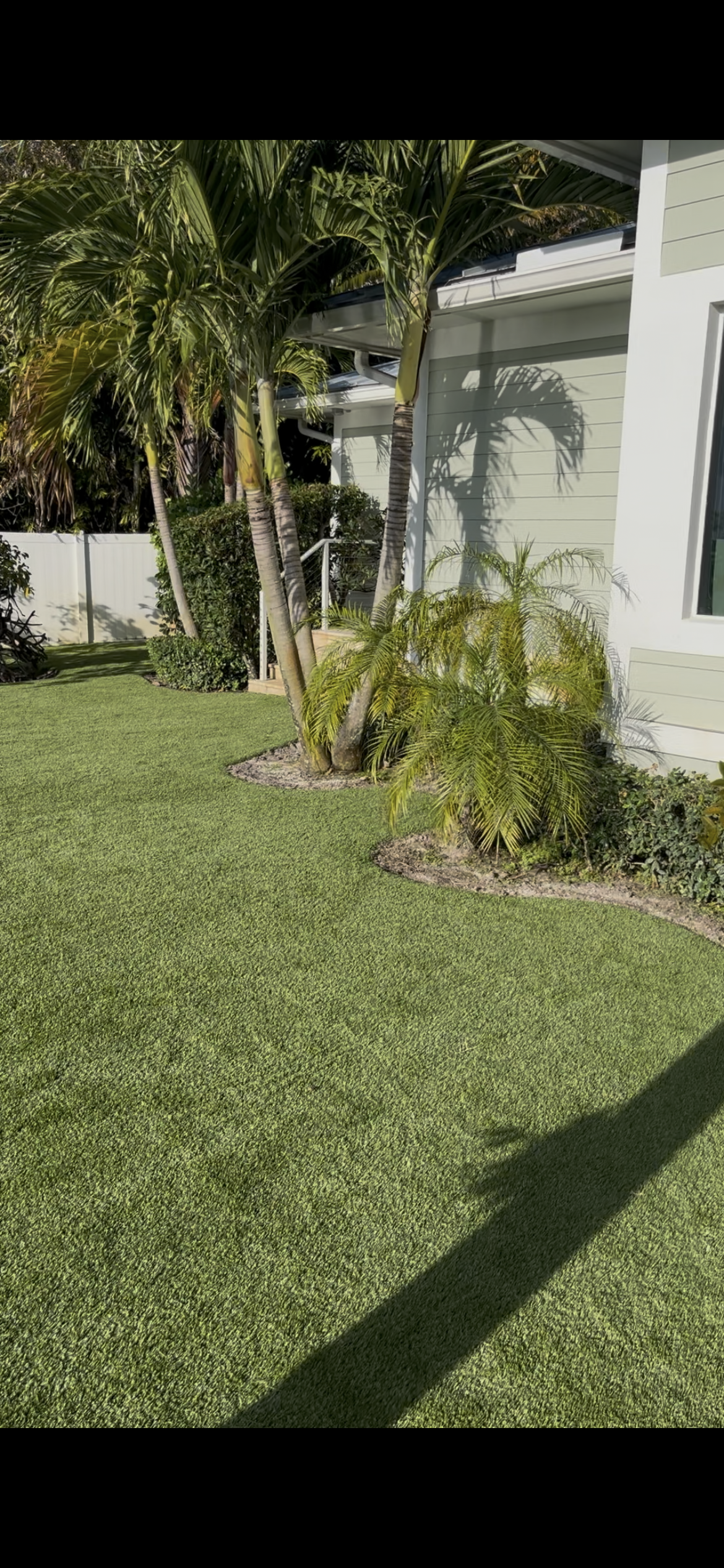 Finished artificial turf installed along the side yard beside the house and palm trees